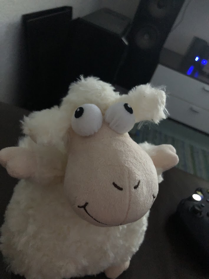 Bonzai /Timo tweet media