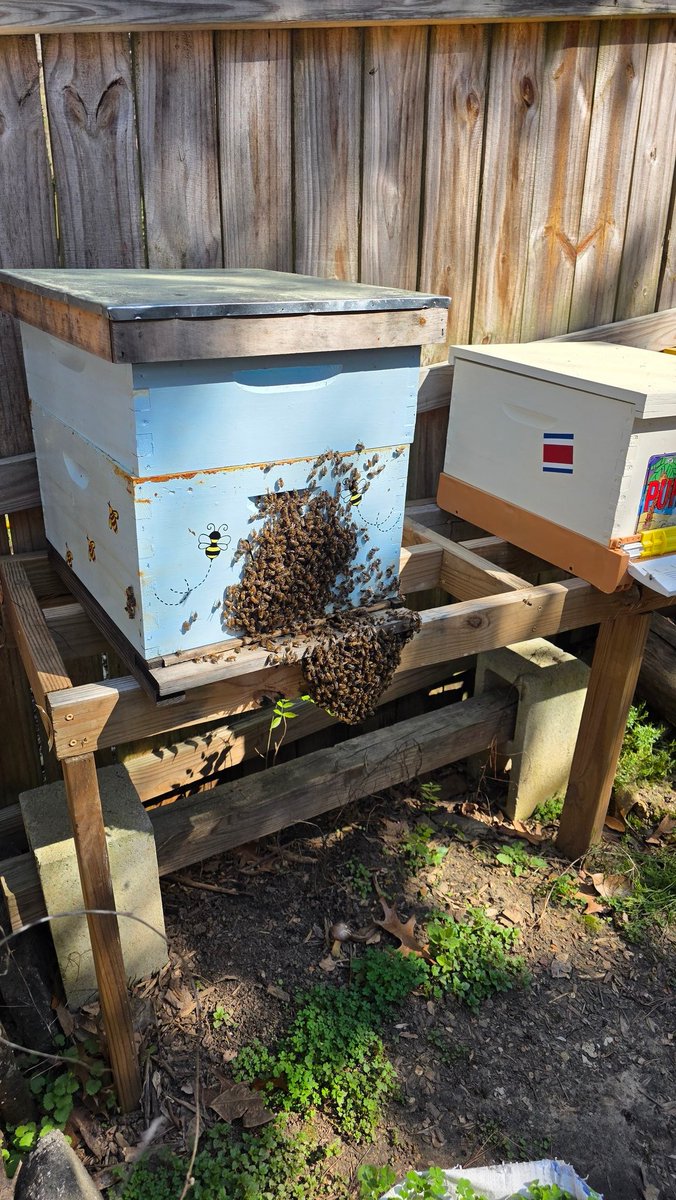 Aubrey Lenyard tweet media