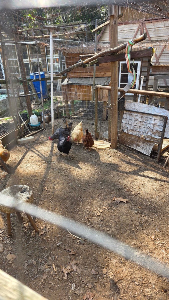 Aubrey Lenyard tweet media