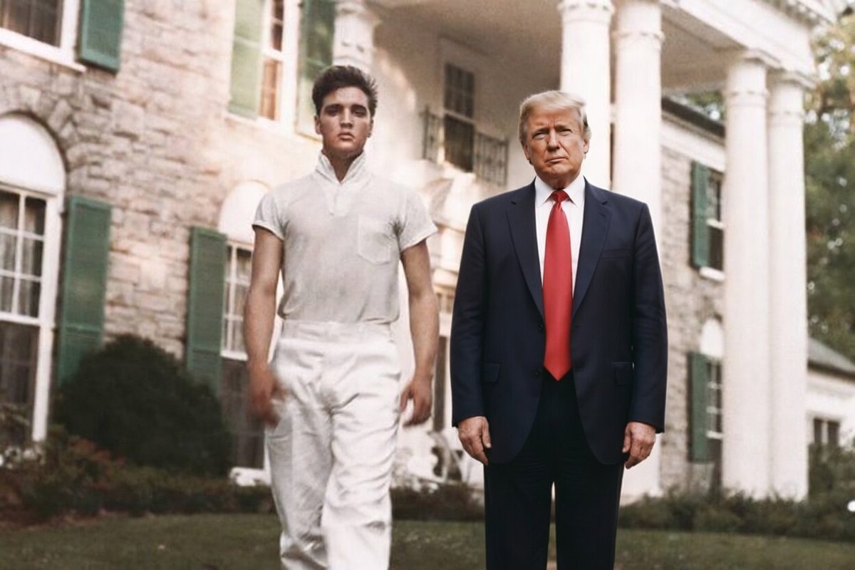 Donna Marie tweet media