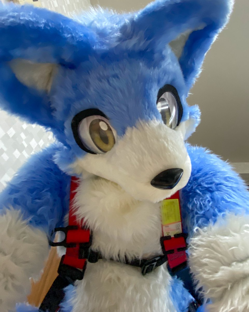 のもけ tweet media