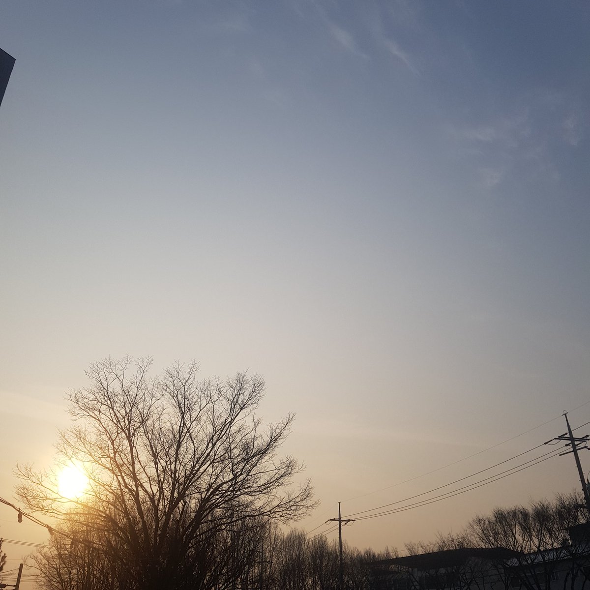 2봄(그루잠)(26일까지 냥체) tweet media