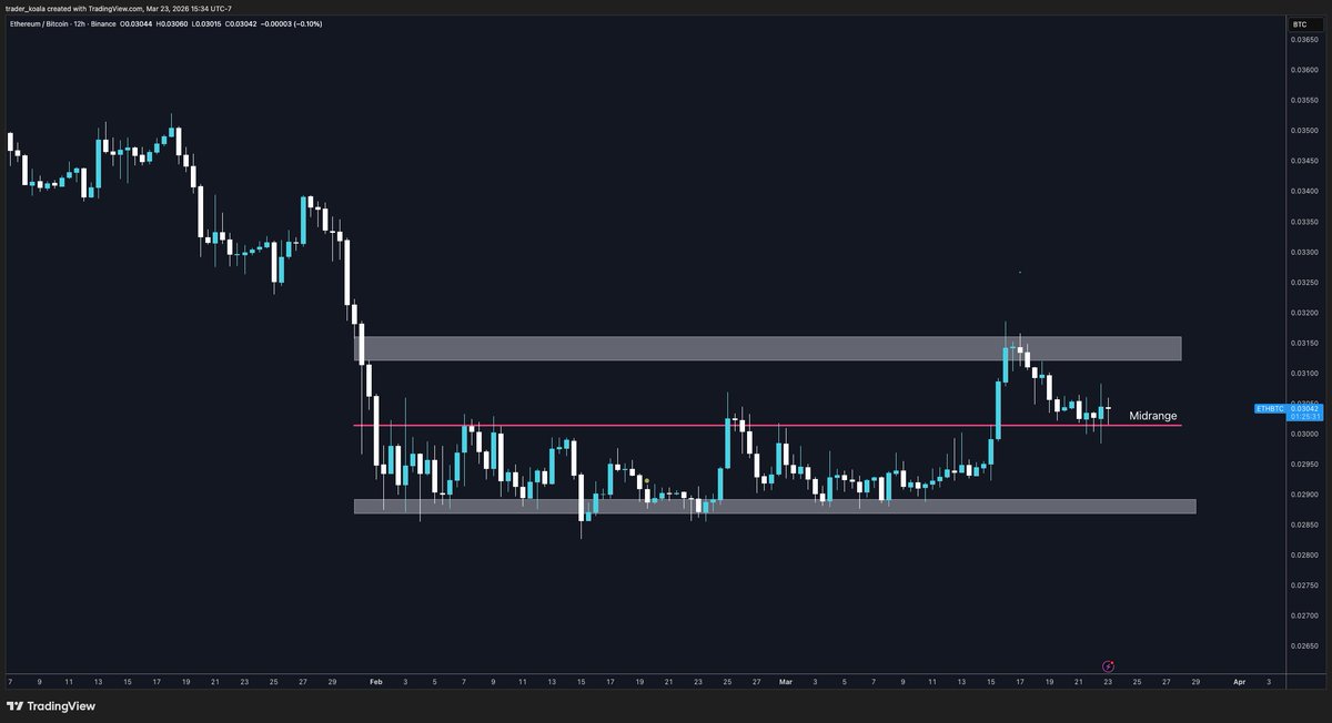 Trader Koala tweet media