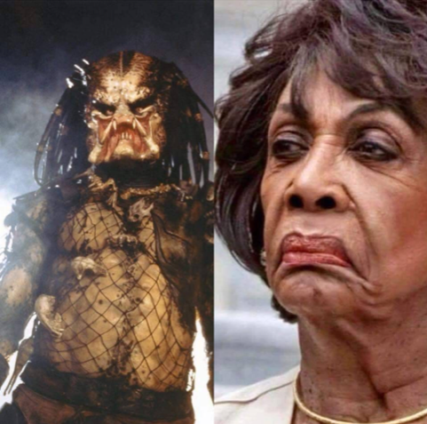 The Only James Magelk tweet media