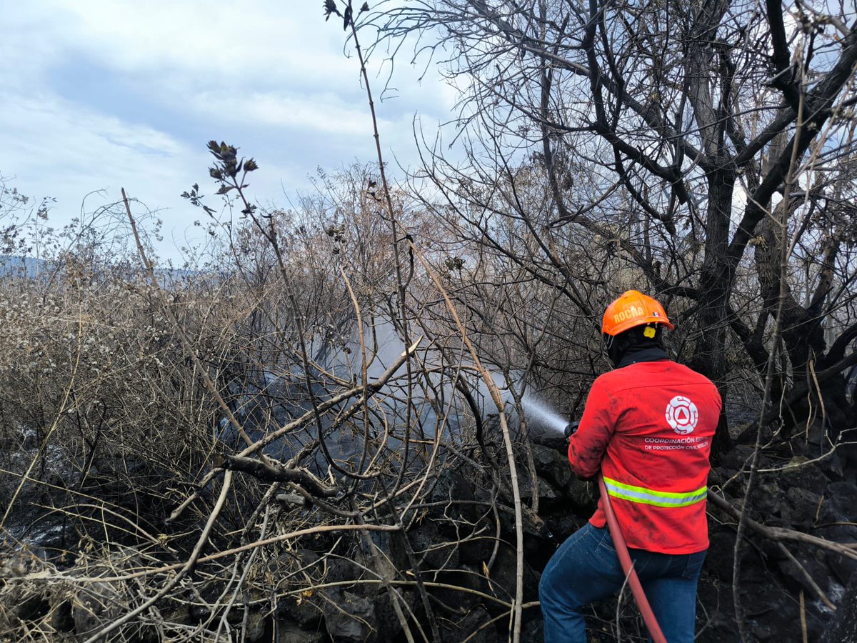 Protección Civil Morelos tweet media