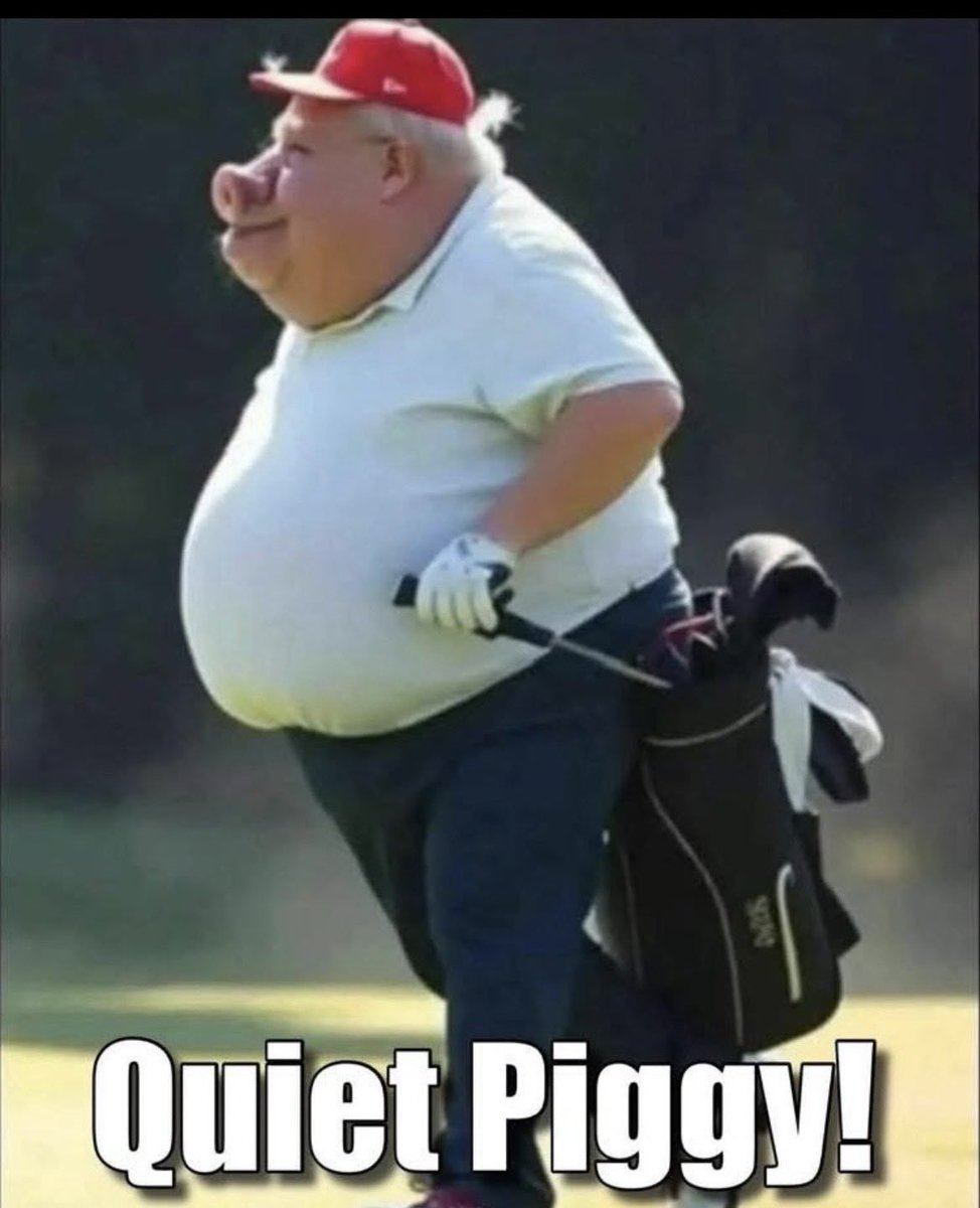 Susan W FL 🌊🇺🇦 tweet media