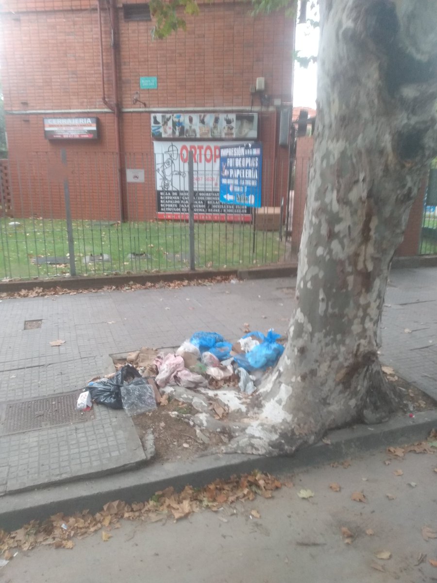 Walter Villa tweet media