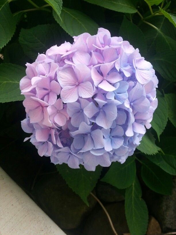 allyson ˚ʚ♡ɞ˚ tweet media