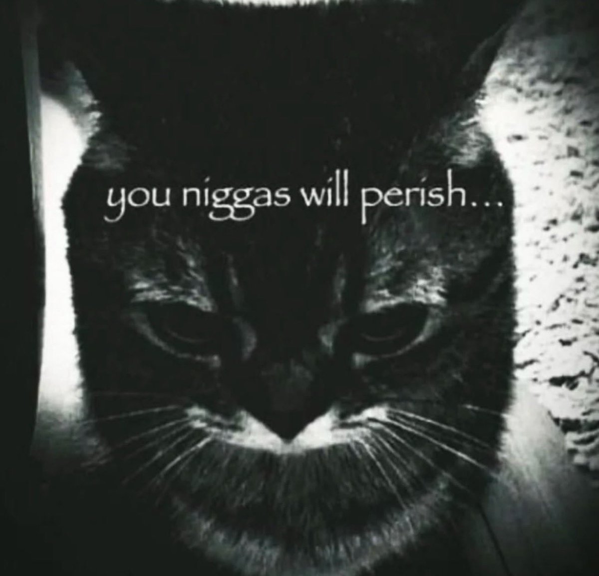 cryingvault tweet media