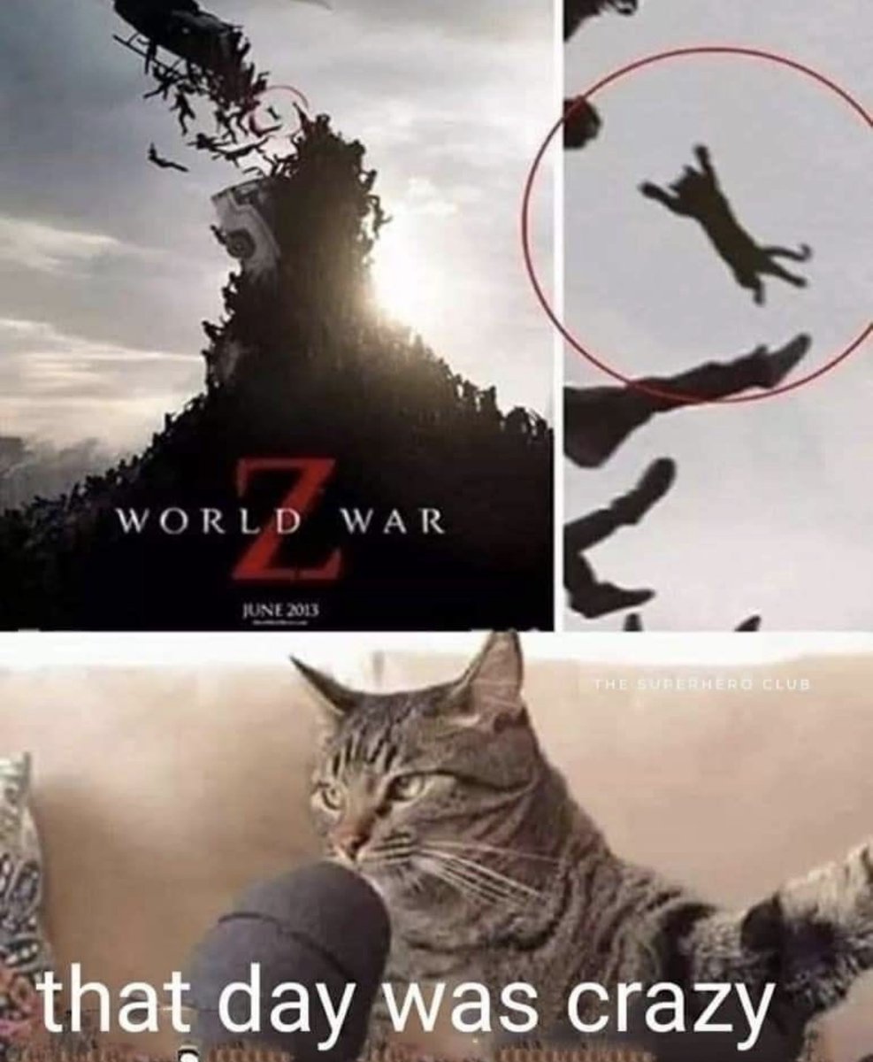 Respectful Memes tweet media