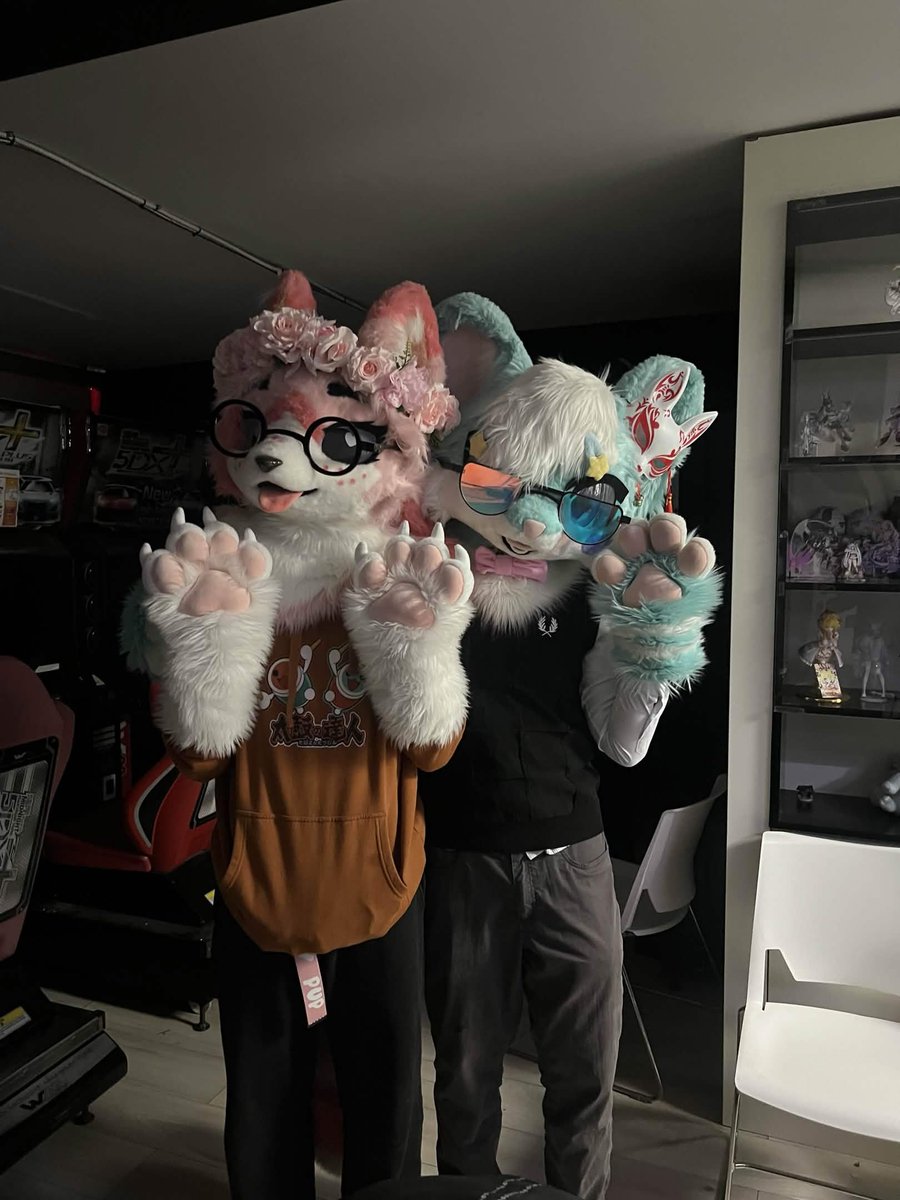 lyla 🐾🔜FWA tweet media