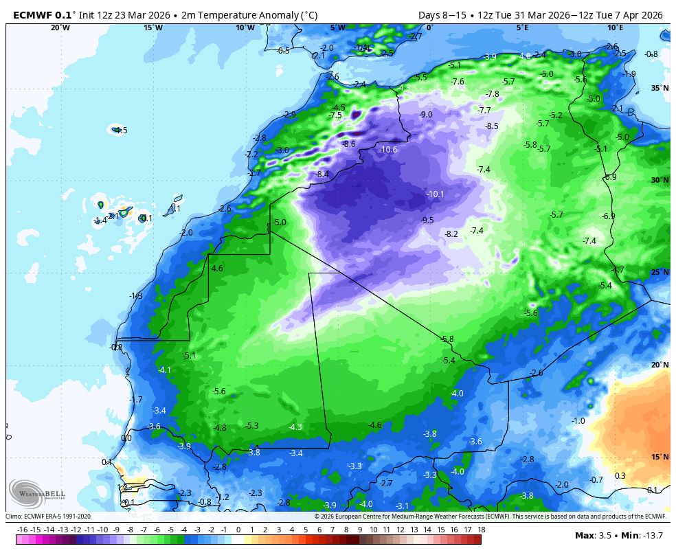 The American Storm tweet media