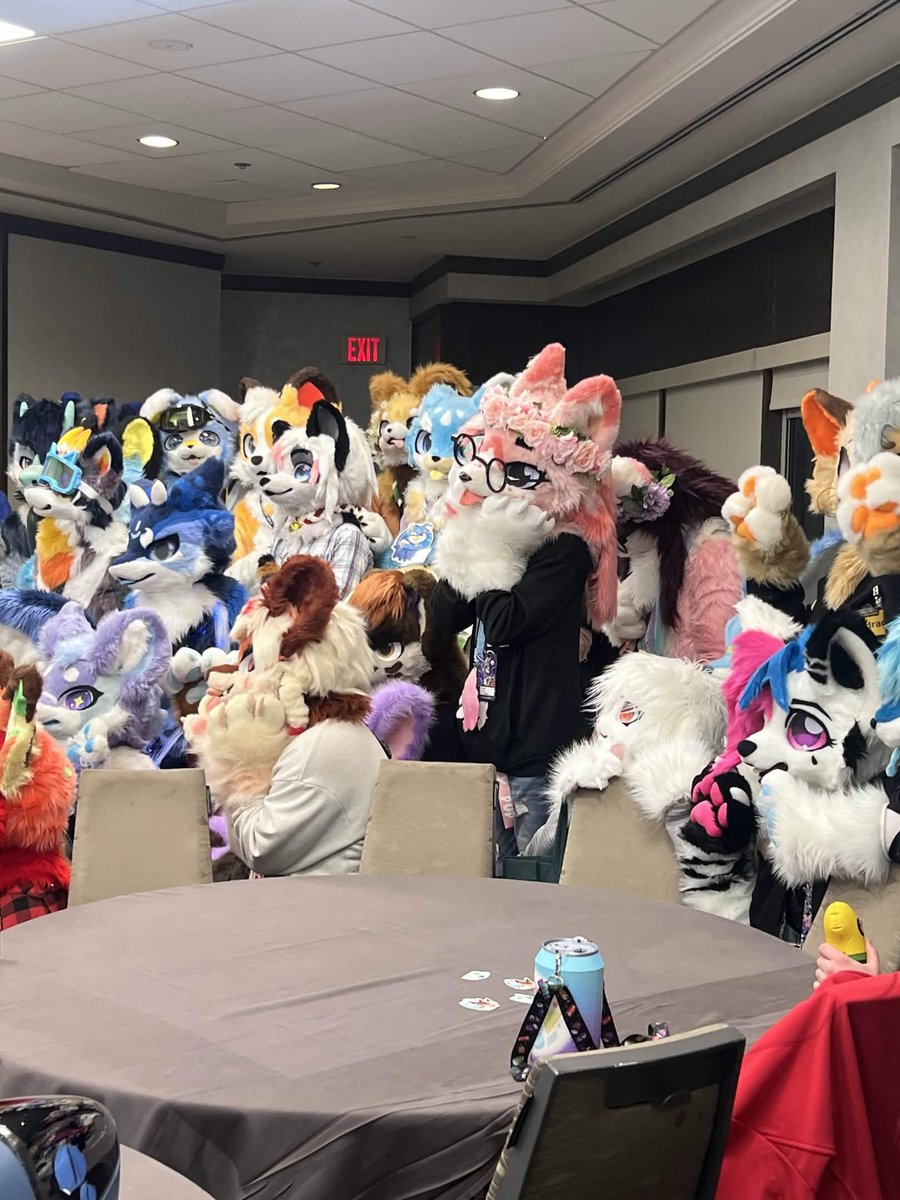 lyla 🐾🔜FWA tweet media