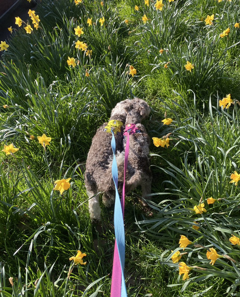 BeMoreBob tweet media