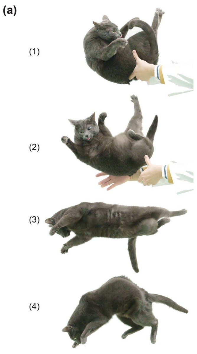 Dosen Kesayanganmu tweet media