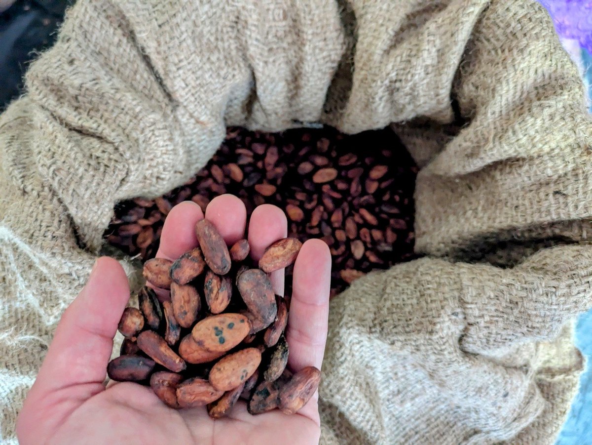 PHAMA Plus tweet media