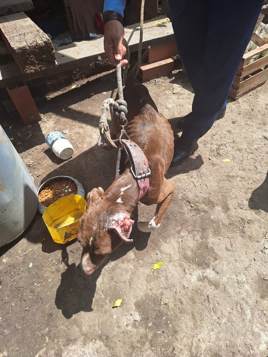 Cuarto Poder Py tweet media