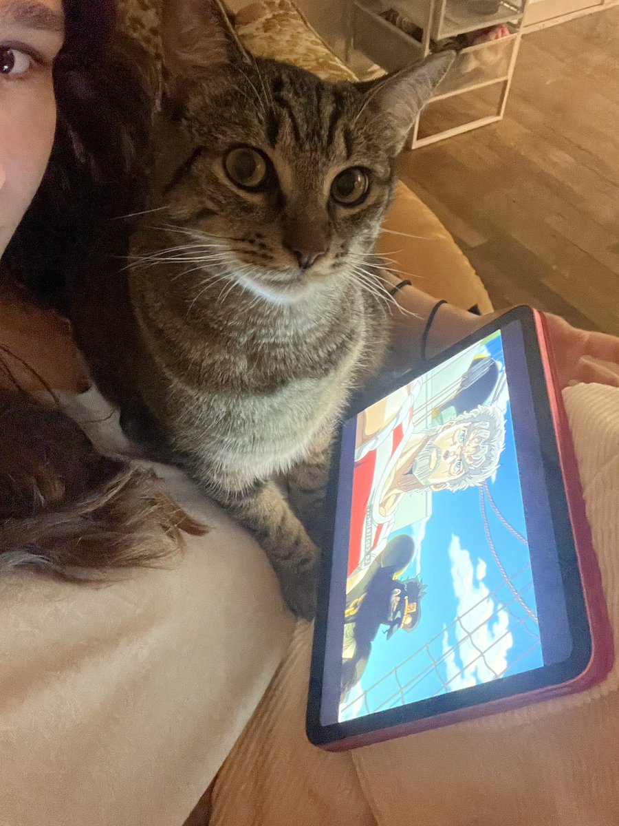 🐱ྀིྀི ᴬᴹᴬ🐱ྀིྀི tweet media