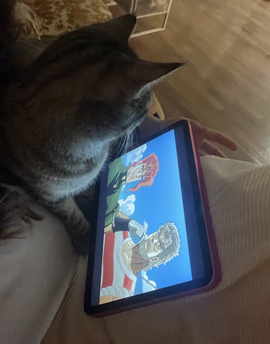 🐱ྀིྀི ᴬᴹᴬ🐱ྀིྀི tweet media