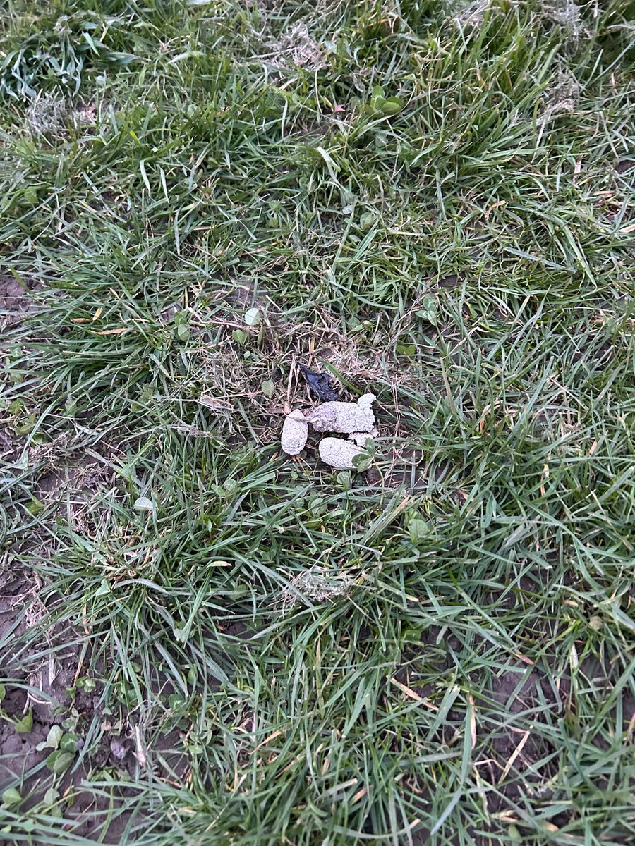 Russ the driver tweet media