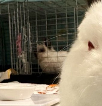 夕野ぴゆ tweet media