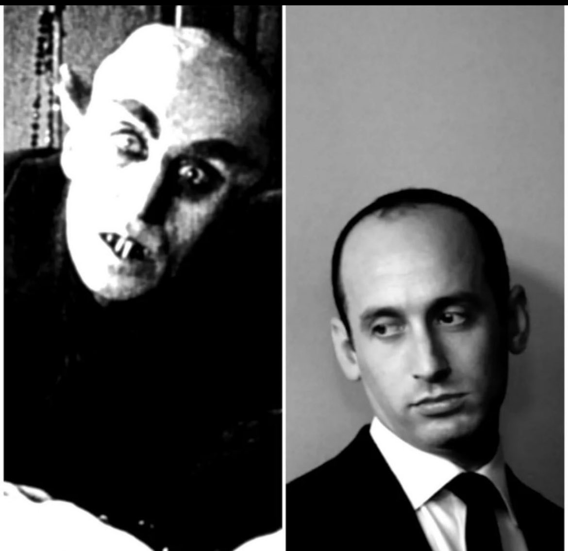 Susan W FL 🌊🇺🇦 tweet media