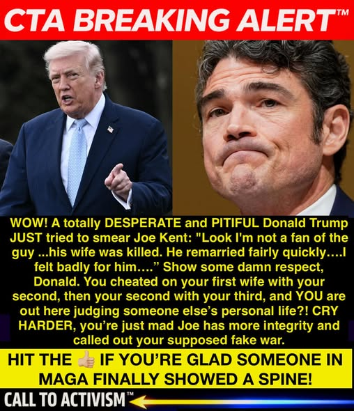 elseagee 🟧 🌊 🌊 🌊🎨 🎸 tweet media