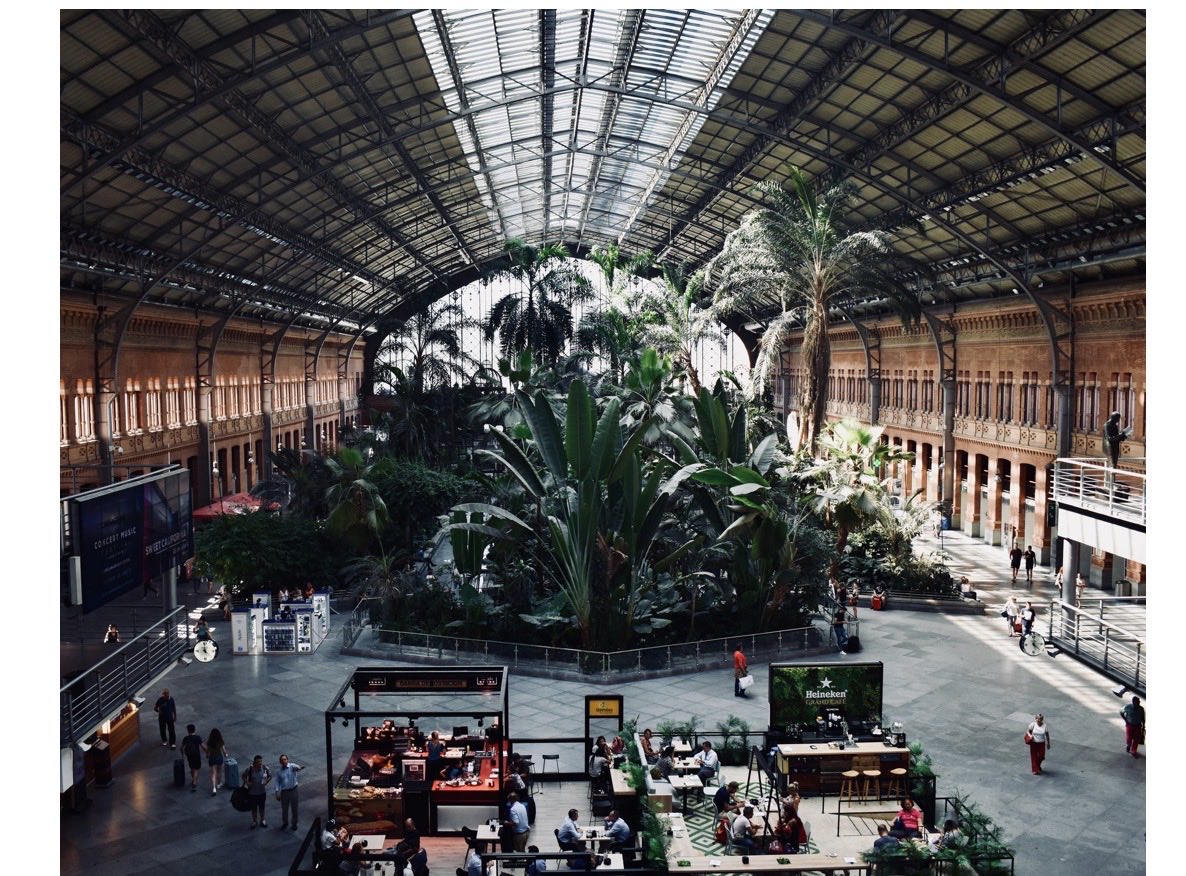 Andrew Neidhardt 🚸 tweet media