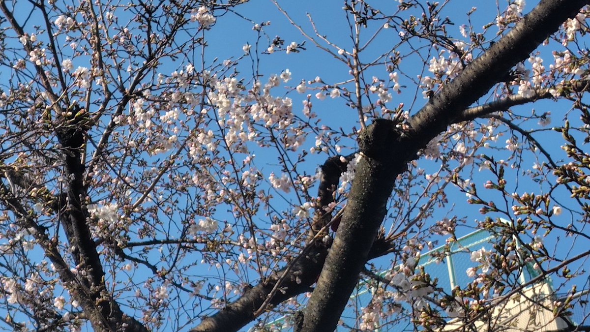 FujitsuKendo's tweet photo. 3/21は第44回弥生杯(4社による親善試合)、7人制団体戦に1チーム参加。同率2位でした。あと1勝で優勝でした。
3/22は第71回神奈川県実業団剣道大会、女子個人戦に1人、5人制団体戦に1チーム参加。いずれも予選リーグ敗退でした。 https://t.co/5tTKB5BmAu
