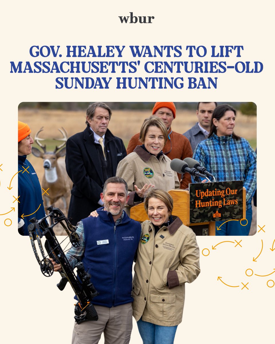 Maura Healey tweet media