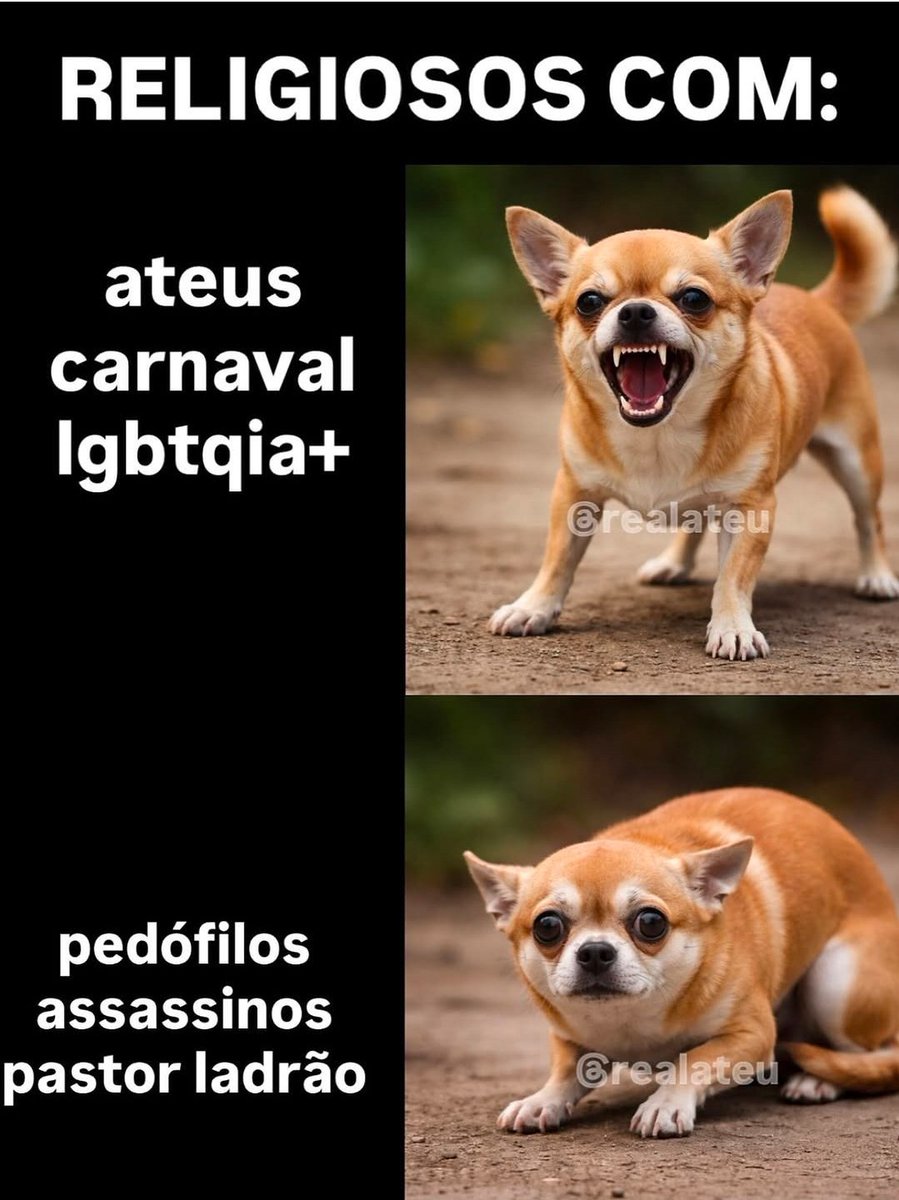 KeplerBarnard_ tweet media