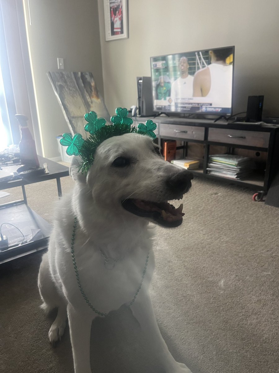 Topher Nowak tweet media