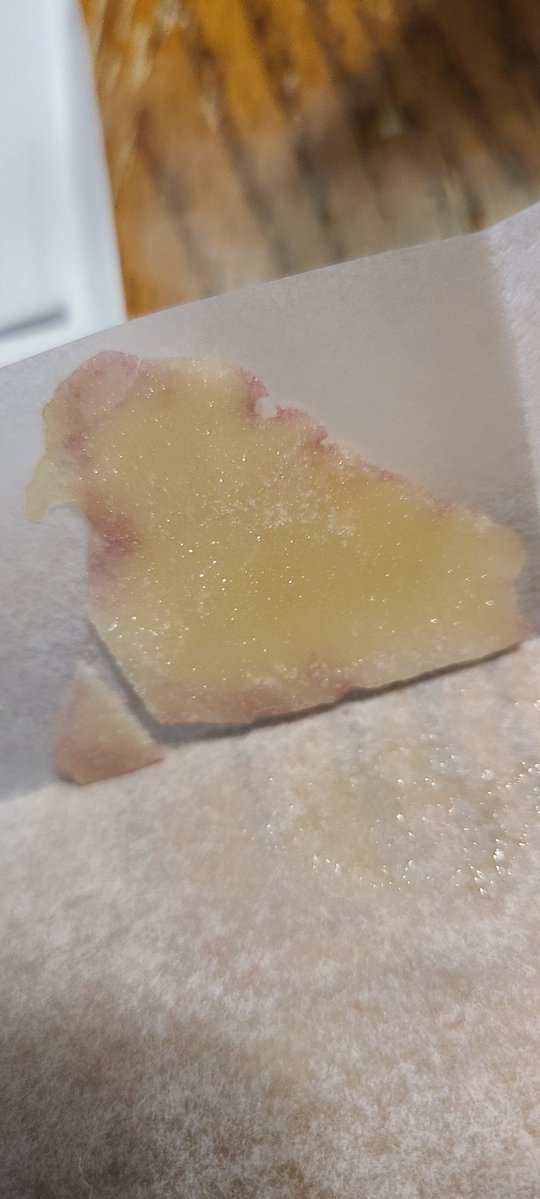 🄶🄷🄾🅂🅃 tweet media