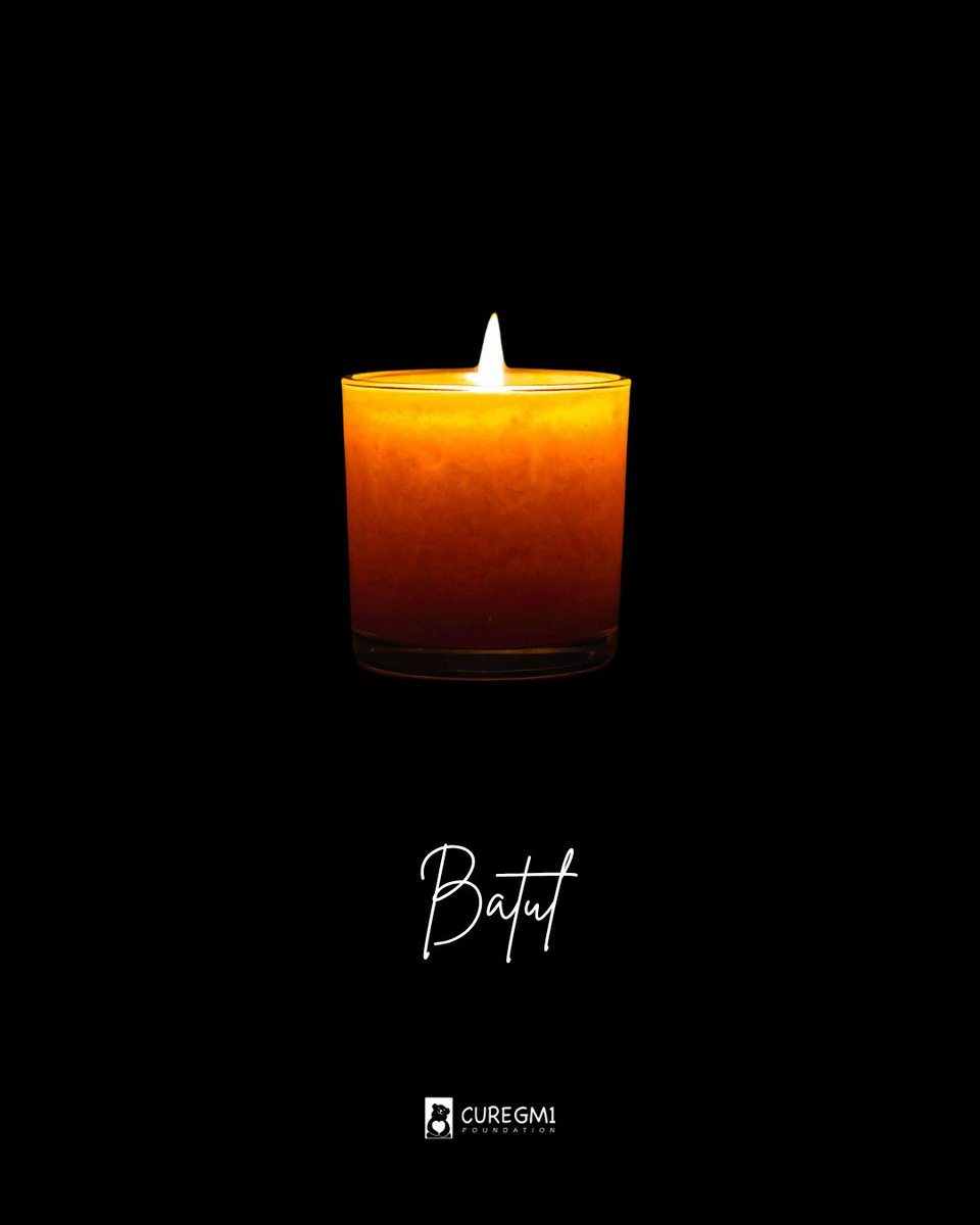 Cure GM1 Foundation tweet media