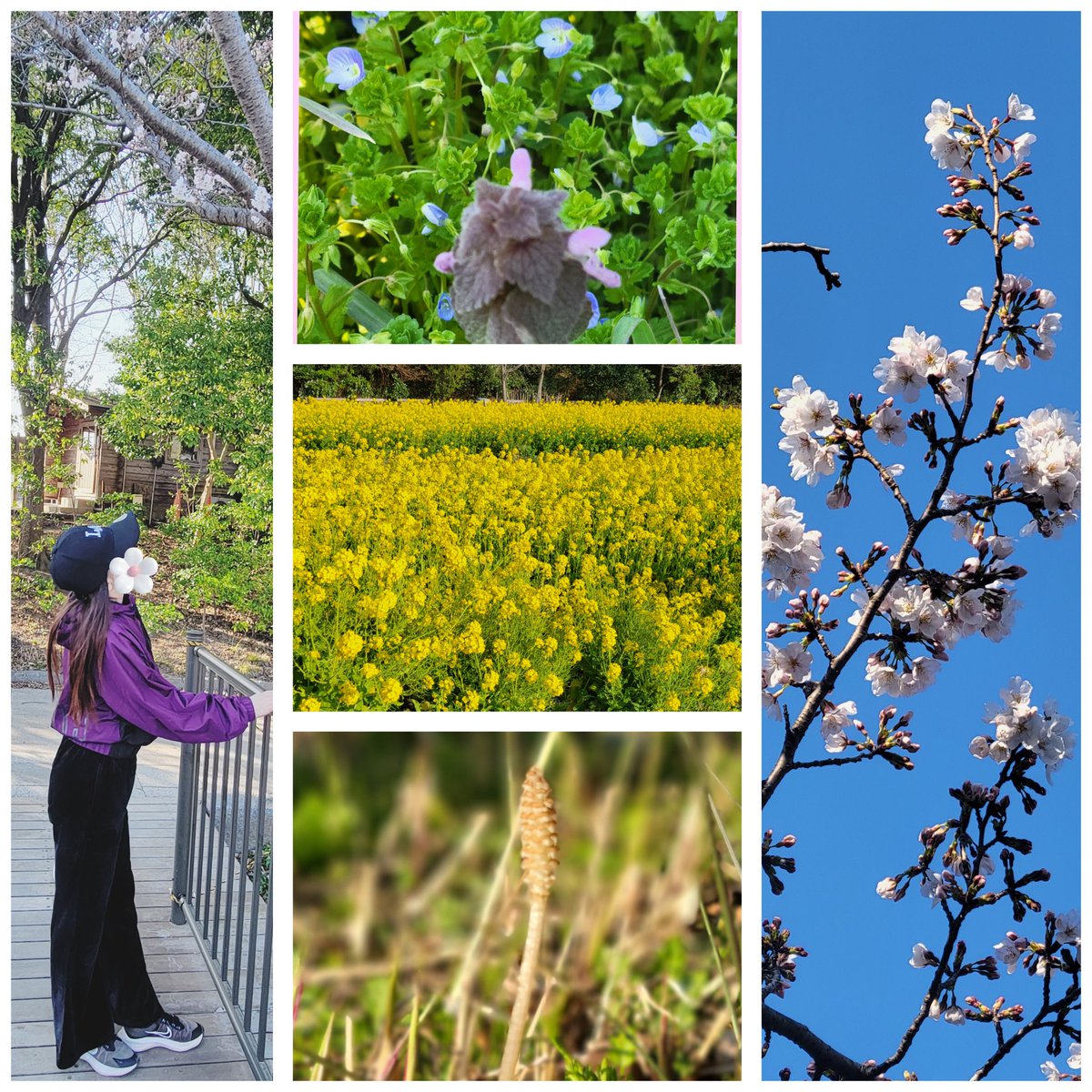れもんばーむ🍋今年の目標は砂時計body⌛🏋‍♂️🧘‍♀️💃 tweet media
