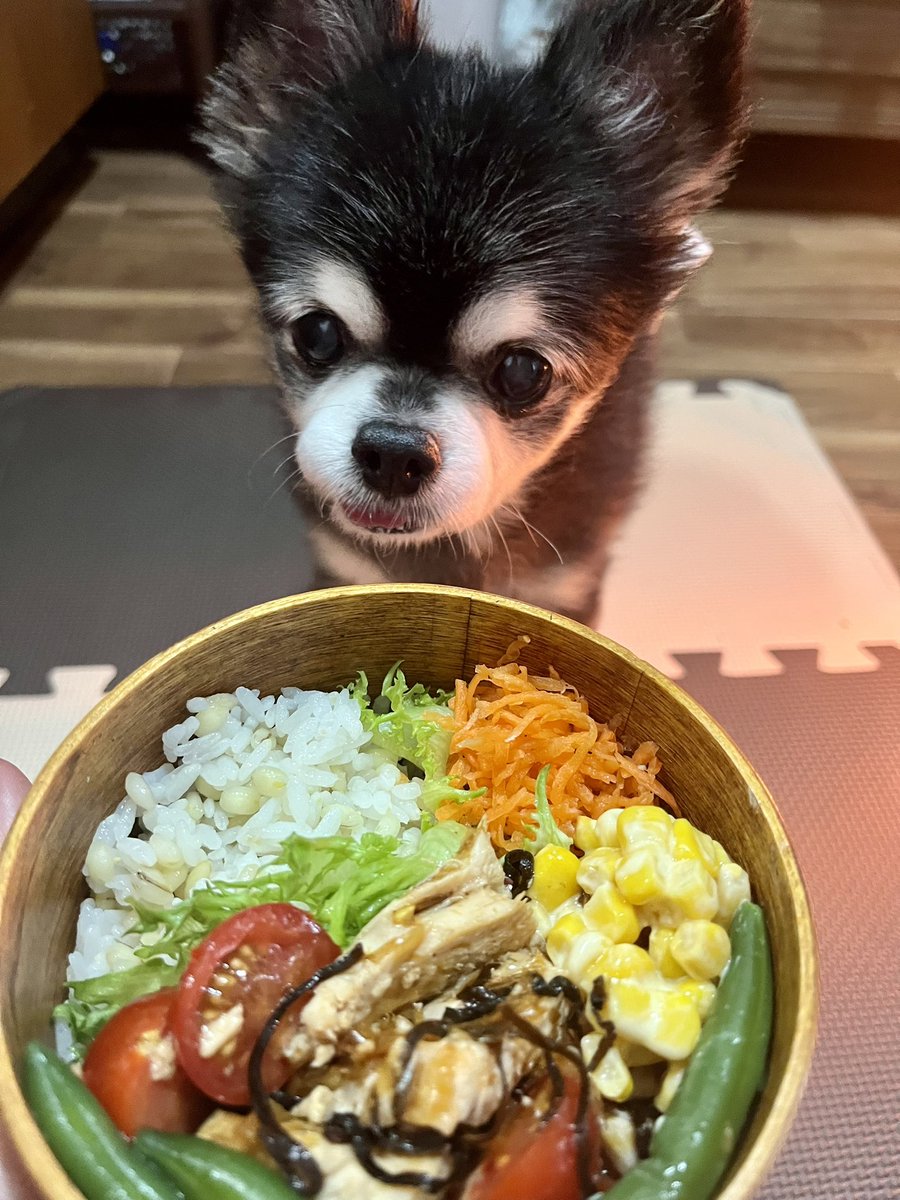 あずき tweet media