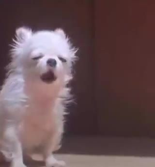 두됴지 tweet media