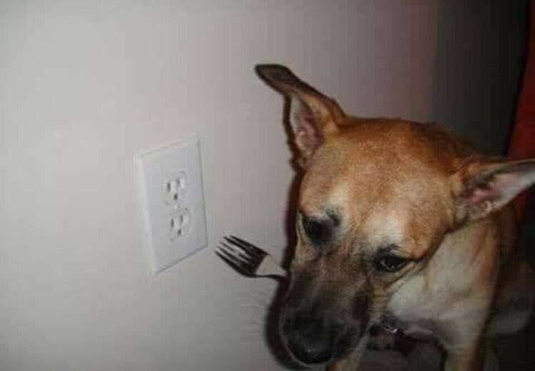 RCS Pneu ツ tweet media