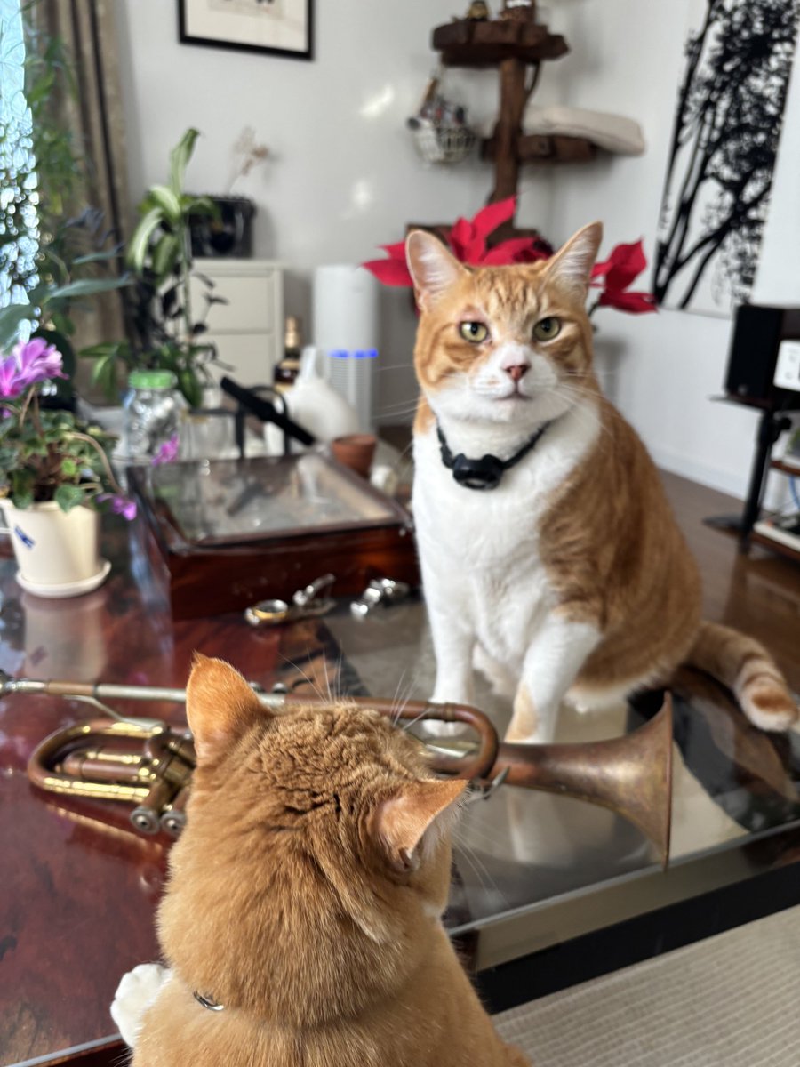 株式会社フォレスト＠中の人1号 tweet media