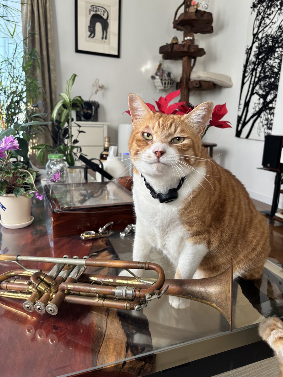 株式会社フォレスト＠中の人1号 tweet media