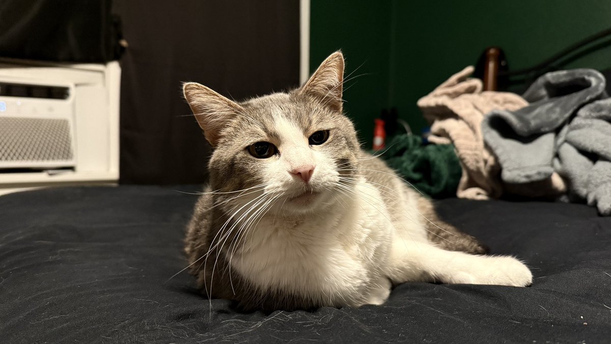 Chance :) tweet media