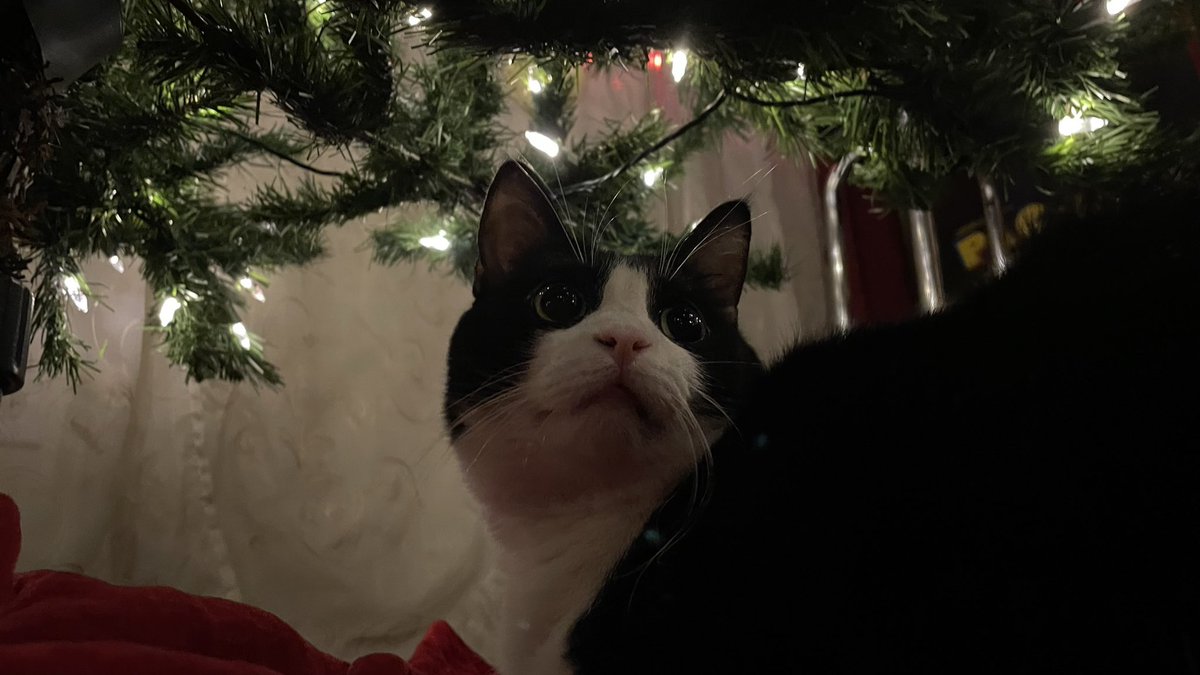 Chance :) tweet media