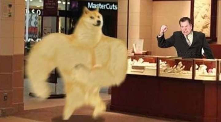 Patbacknitro tweet media