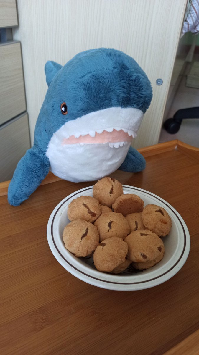 GiraffaV's tweet image. You have bought a new treat, human!
Apple jam cookies!
Lasagna, hurry up or I’ll eat them all!

#IKEAのサメ #ikeashark #stuffedtoy #blåhaj #brioches #italy #peluches #stuffedanimals #blahaj #homesweethome #lasagna #cookies #apple #jam #eat #food #treat