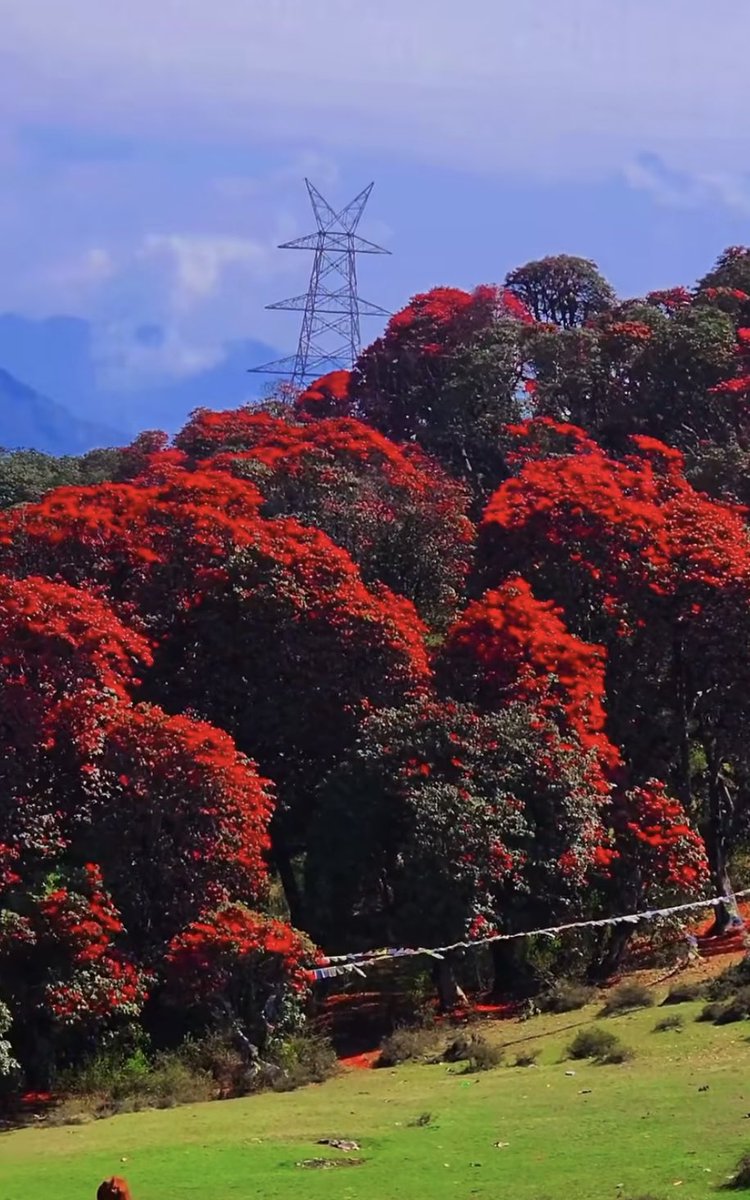 Badri Binod Khanal tweet media