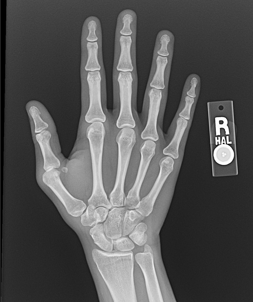 Spectissa ⚔️✨💜 tweet media