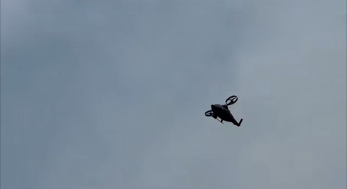 World_338 tweet media