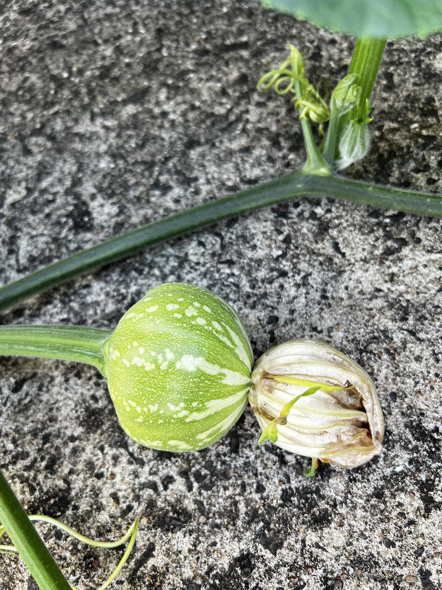 🍷 O L I V I A 🧀 tweet media