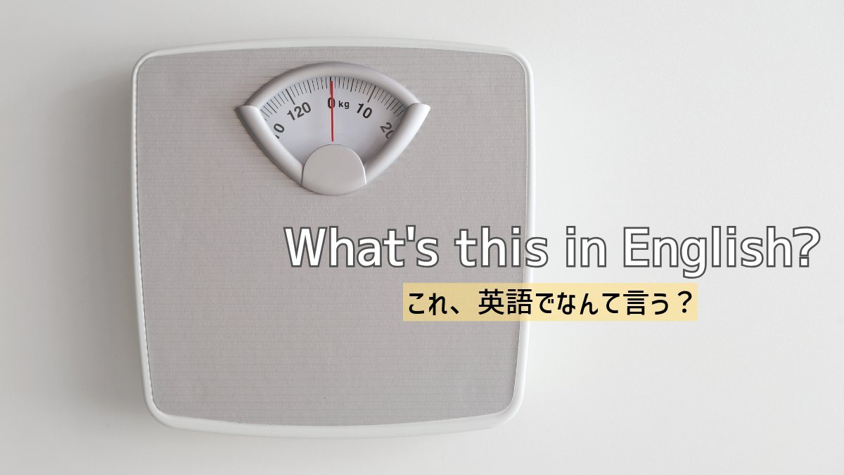 Brighture English Academy|本気の英語学習 tweet media