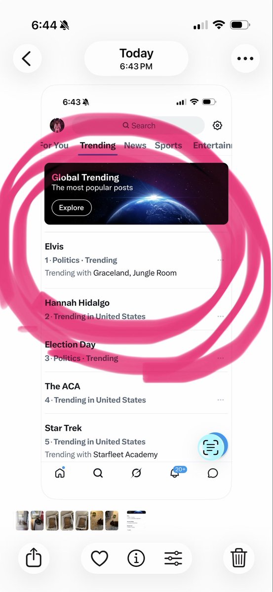 Humid Frog tweet media